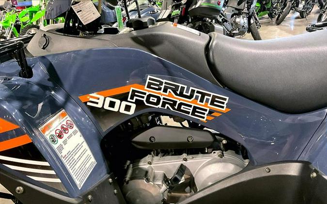 2024 Kawasaki Brute Force® 300