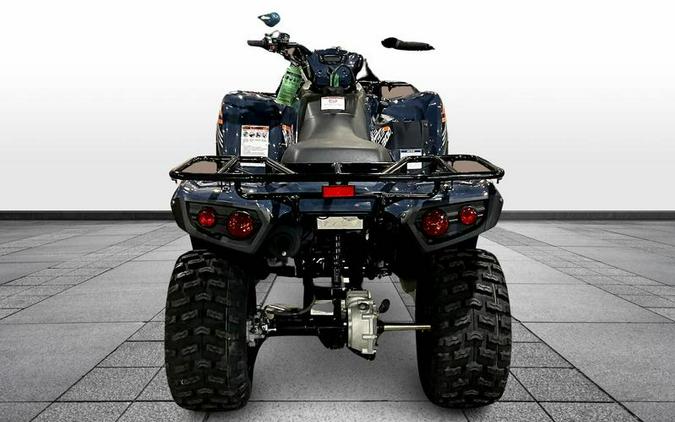 2024 Kawasaki Brute Force® 300