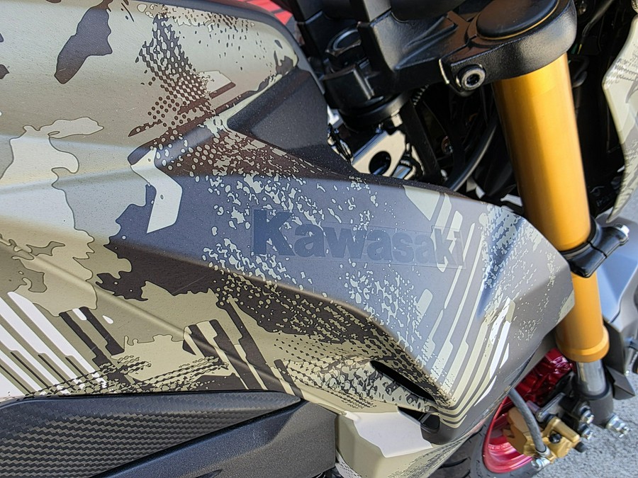 2025 Kawasaki Z125 Pro