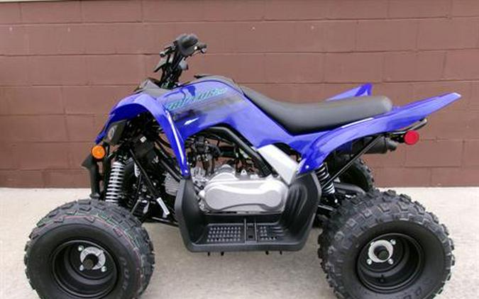 2024 Yamaha Raptor 110