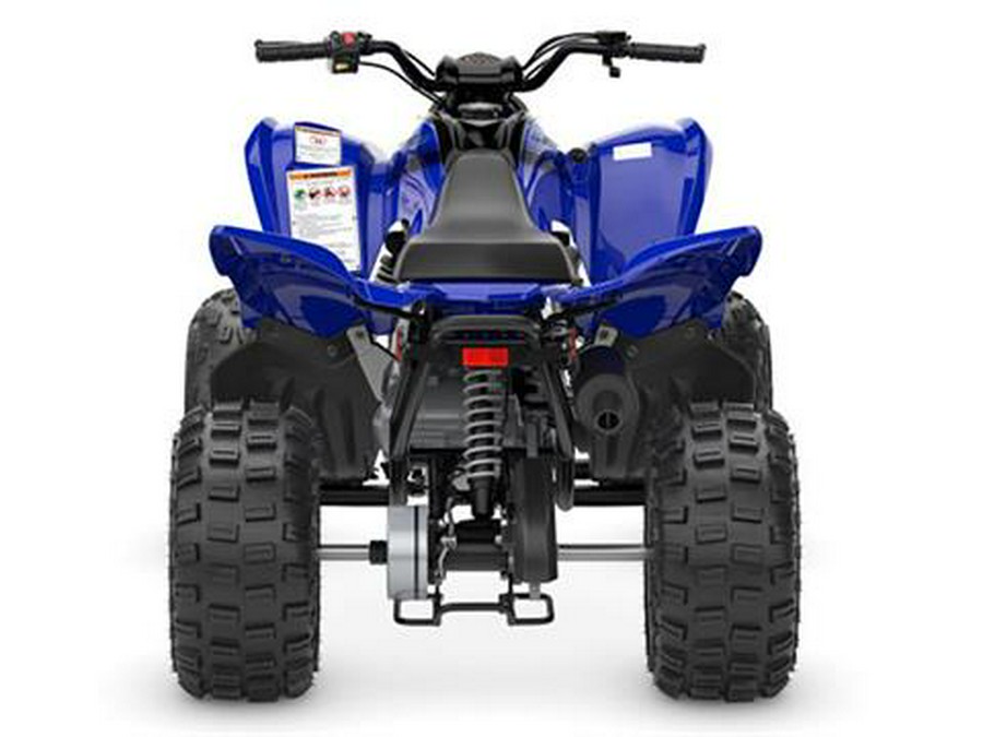 2024 Yamaha Raptor 110