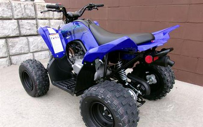 2024 Yamaha Raptor 110