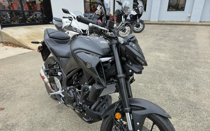 2024 Yamaha Motor Corp., USA MT-03