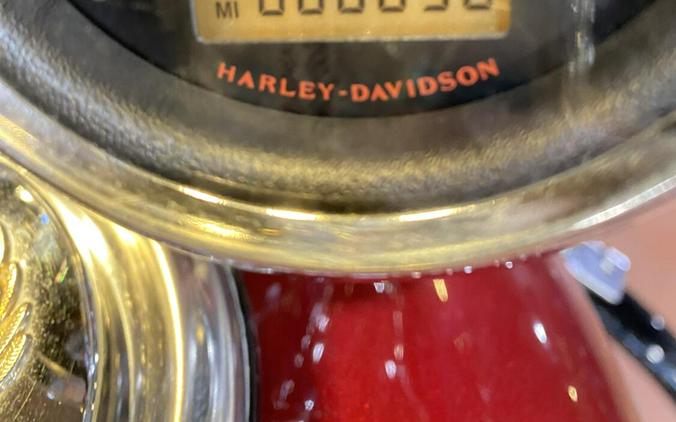 2007 Harley-Davidson Sportster Custom XL1200C