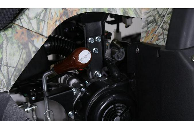 2022 Tao Motor Bull150