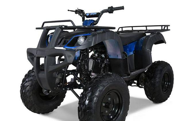 2022 Tao Motor Bull150