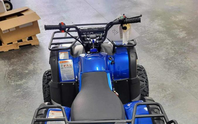 2022 Tao Motor Bull150