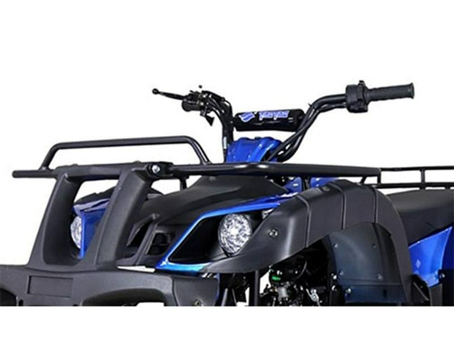 2022 Tao Motor Bull150