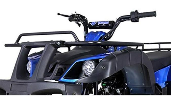 2022 Tao Motor Bull150