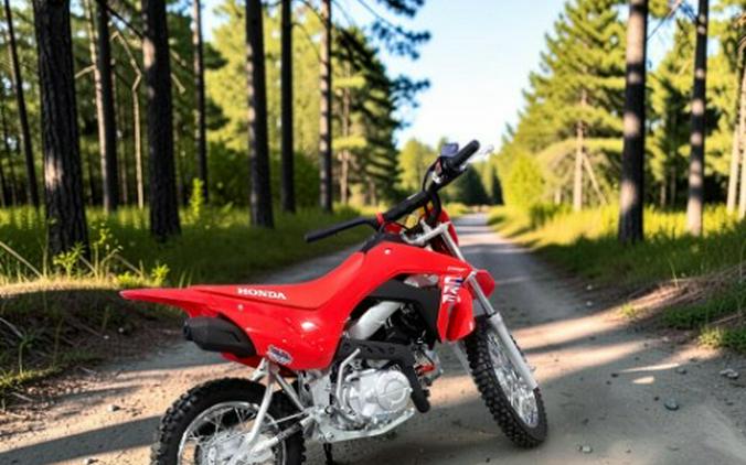 2027 Honda CRF110F