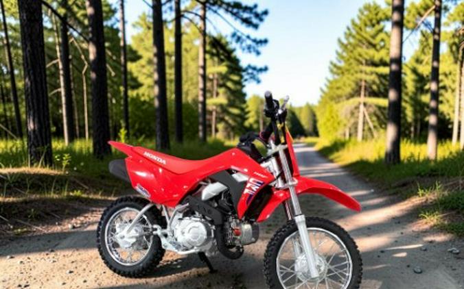 2027 Honda CRF110F
