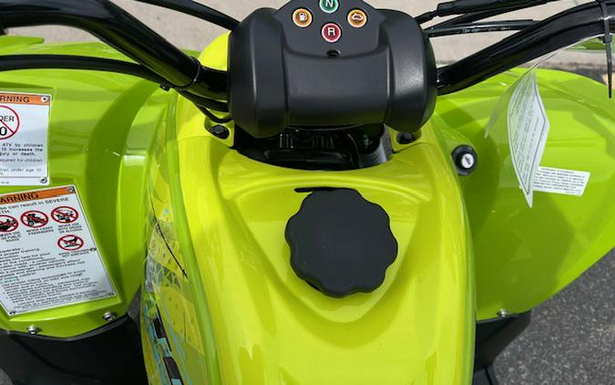 2026 Raptor 110 - Yamaha