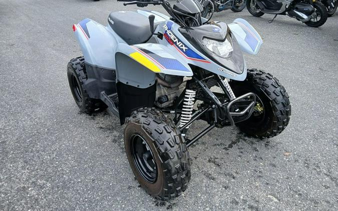2025 Polaris Phoenix 200