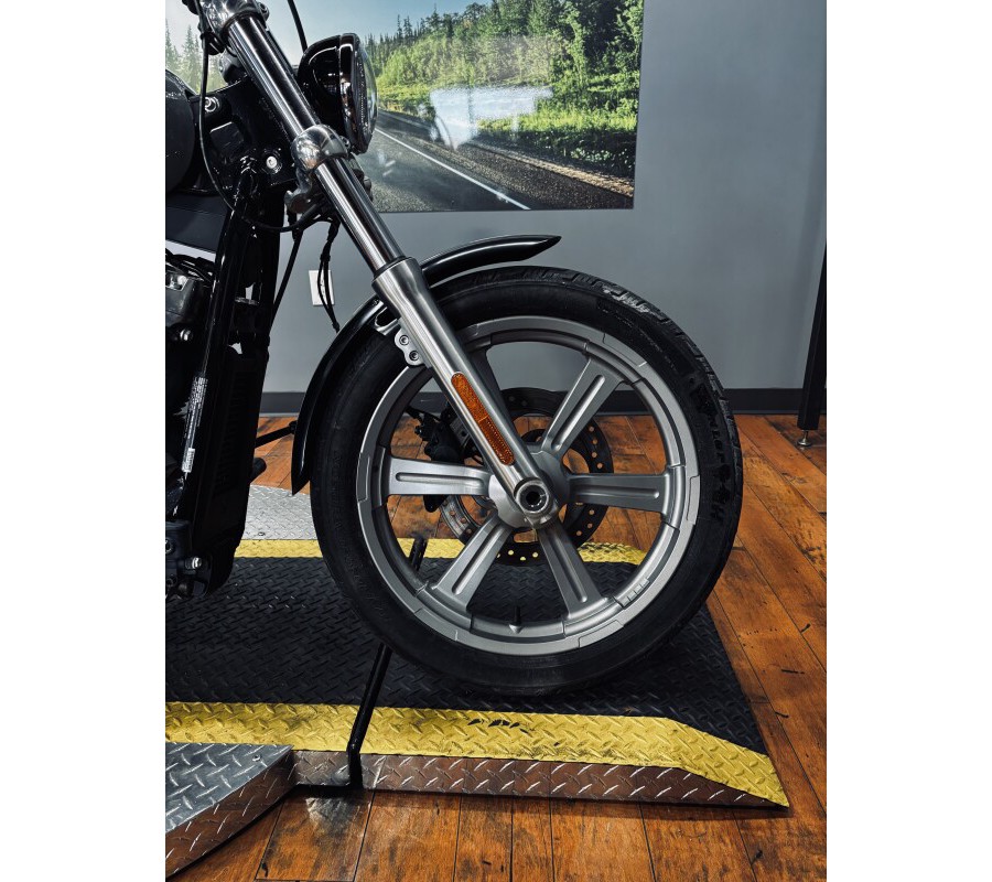 2024 Harley-Davidson® Softail™ Standard BILLIARD GRAY