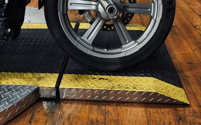 2024 Harley-Davidson® Softail™ Standard BILLIARD GRAY