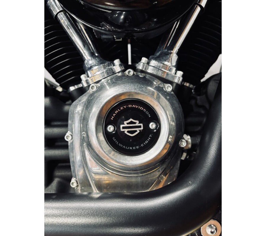 2024 Harley-Davidson® Softail™ Standard BILLIARD GRAY