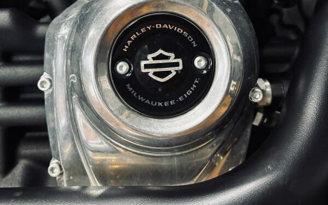 2024 Harley-Davidson® Softail™ Standard BILLIARD GRAY