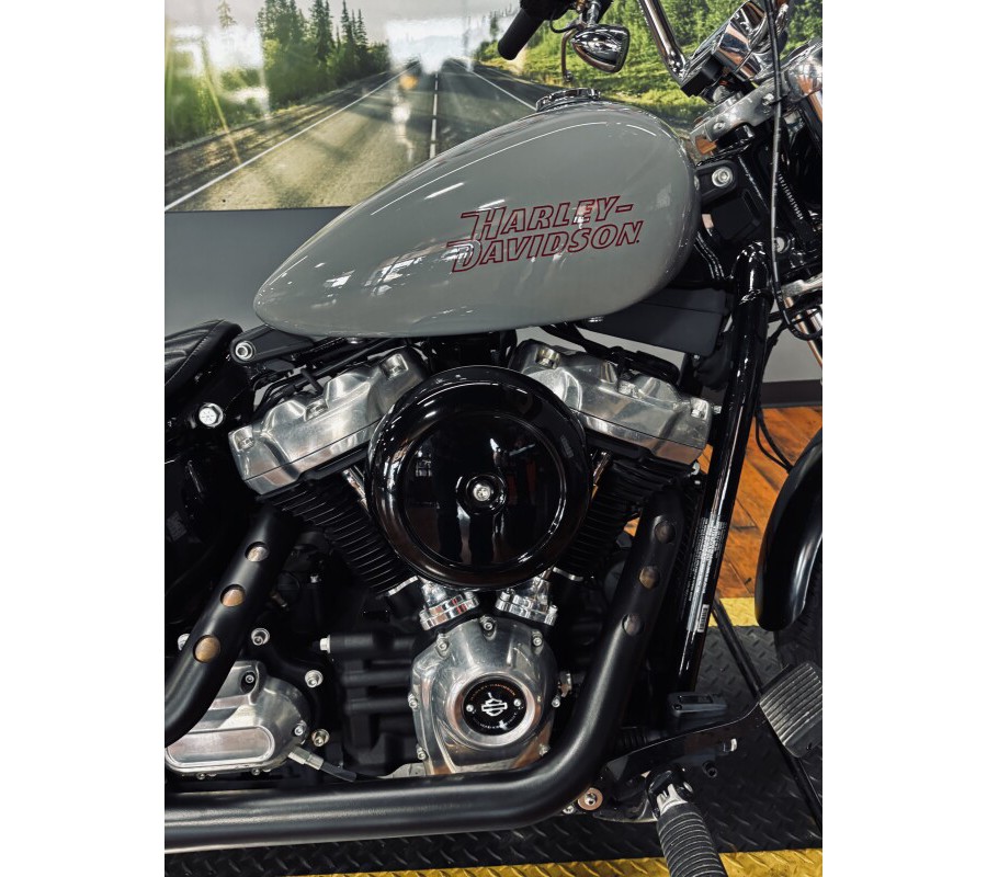 2024 Harley-Davidson® Softail™ Standard BILLIARD GRAY