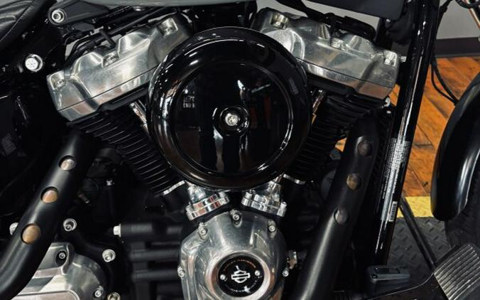 2024 Harley-Davidson® Softail™ Standard BILLIARD GRAY