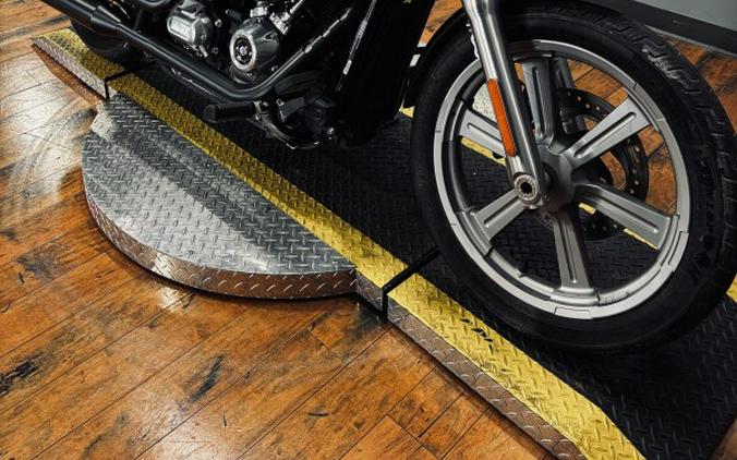 2024 Harley-Davidson® Softail™ Standard BILLIARD GRAY