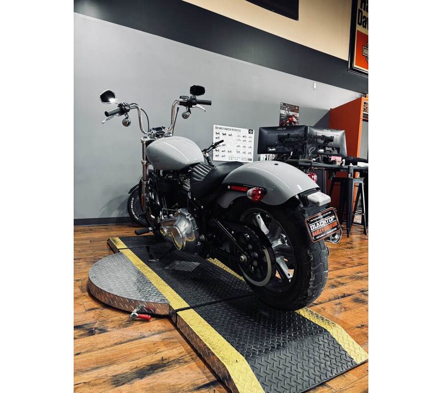 2024 Harley-Davidson® Softail™ Standard BILLIARD GRAY
