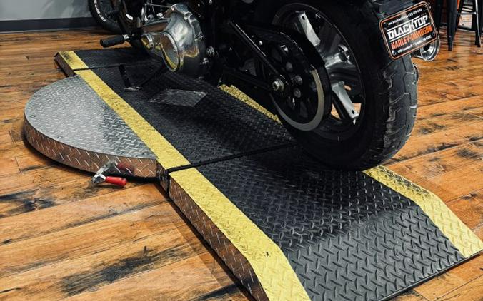 2024 Harley-Davidson® Softail™ Standard BILLIARD GRAY