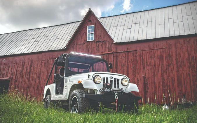 2019 Mahindra Roxor ROXOR Offroad A/T
