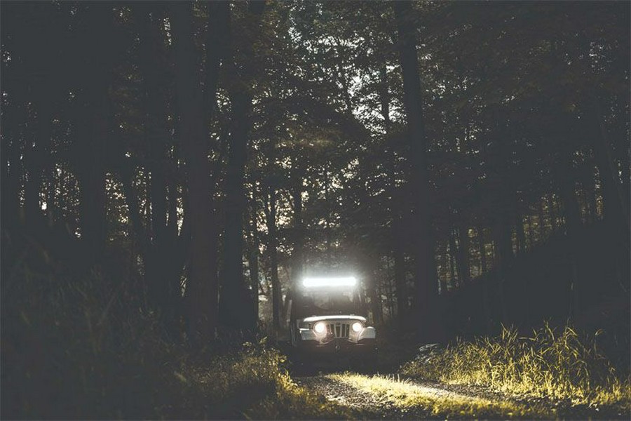 2019 Mahindra Roxor ROXOR Offroad A/T