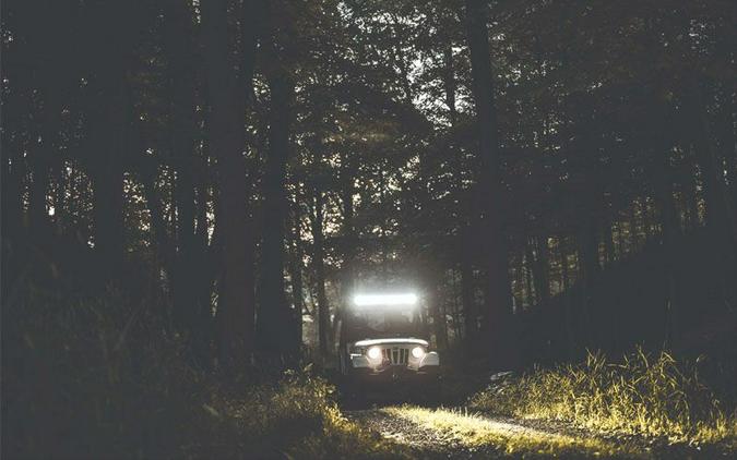 2019 Mahindra Roxor ROXOR Offroad A/T