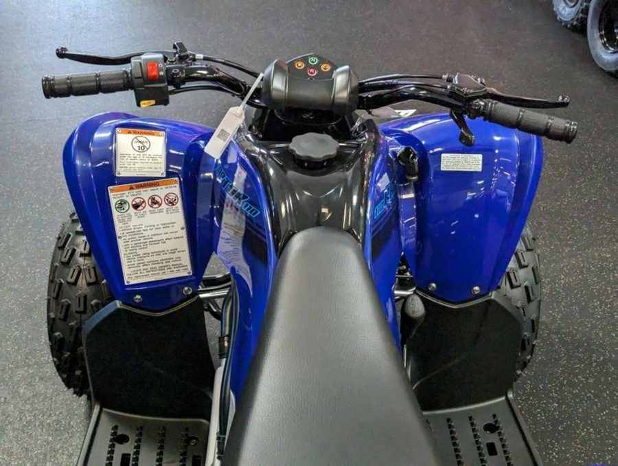 2024 Yamaha Raptor 110