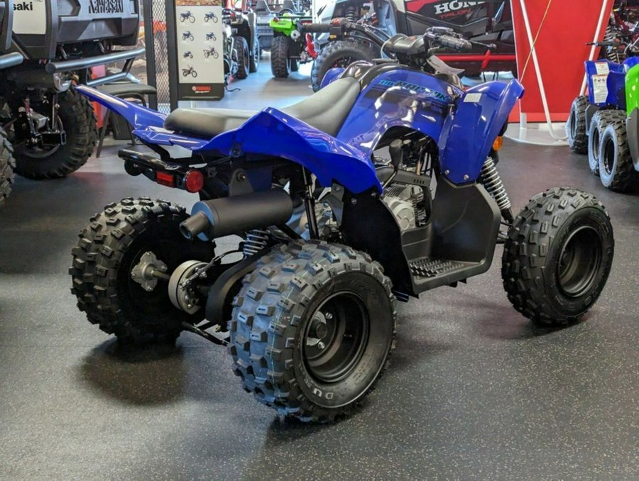 2024 Yamaha Raptor 110