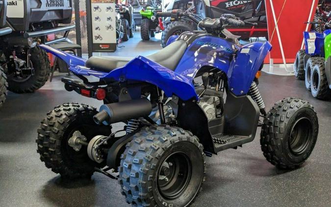 2024 Yamaha Raptor 110