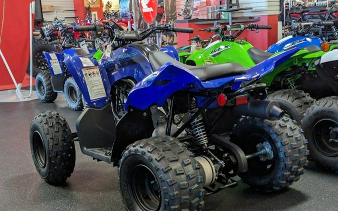 2024 Yamaha Raptor 110