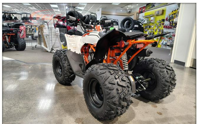 2027 Kayo Storm 110