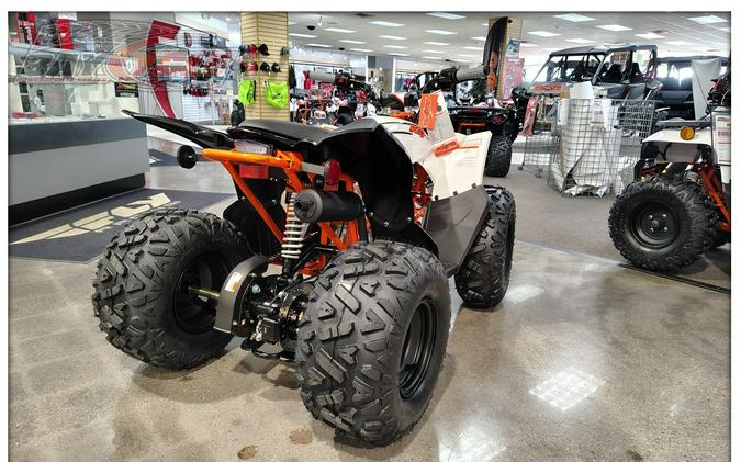 2027 Kayo Storm 110