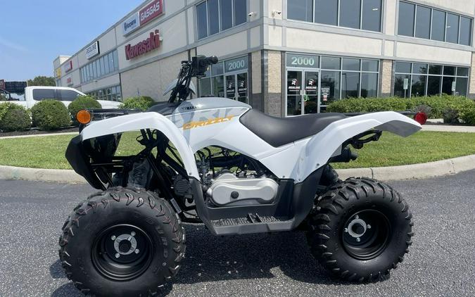 2024 Yamaha Grizzly 90