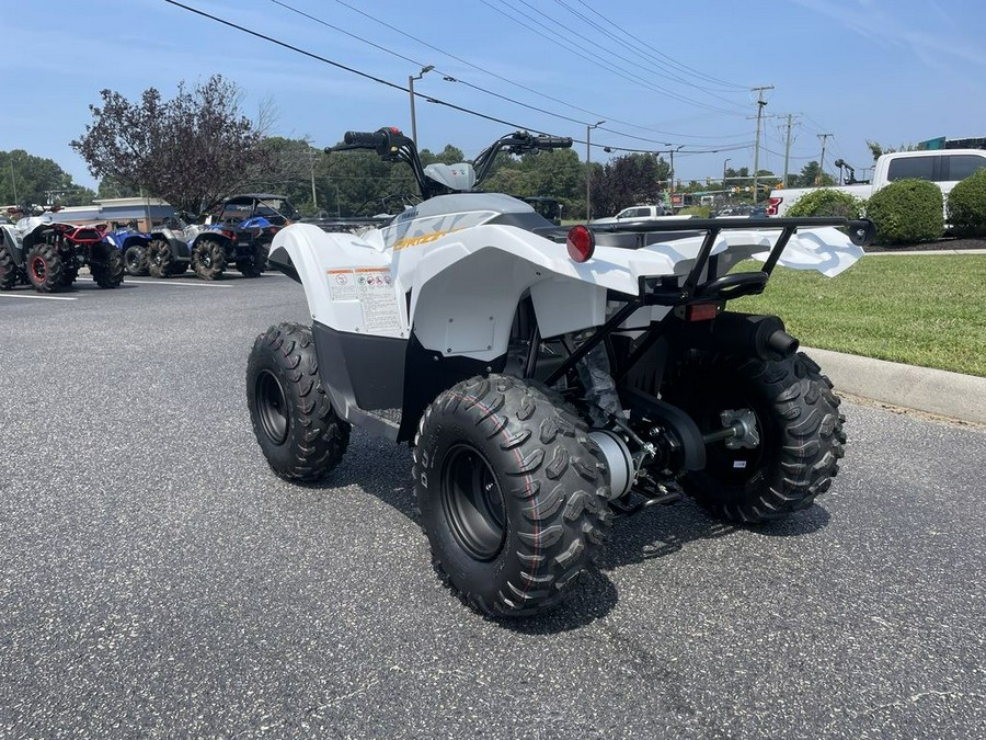 2024 Yamaha Grizzly 90