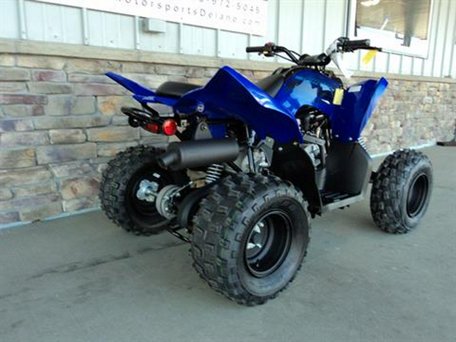 2024 Yamaha Raptor 110