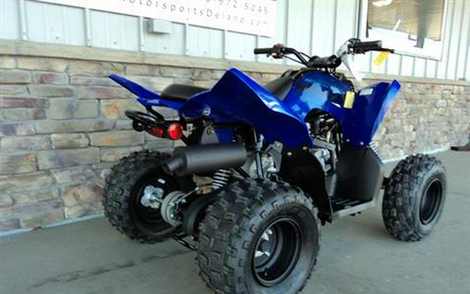 2024 Yamaha Raptor 110