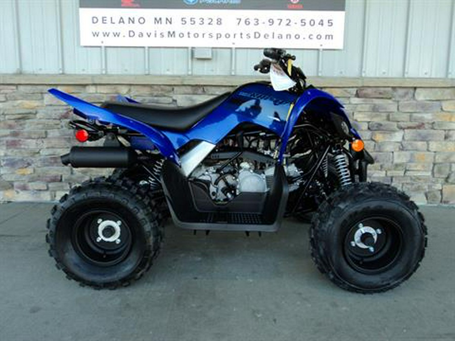 2024 Yamaha Raptor 110