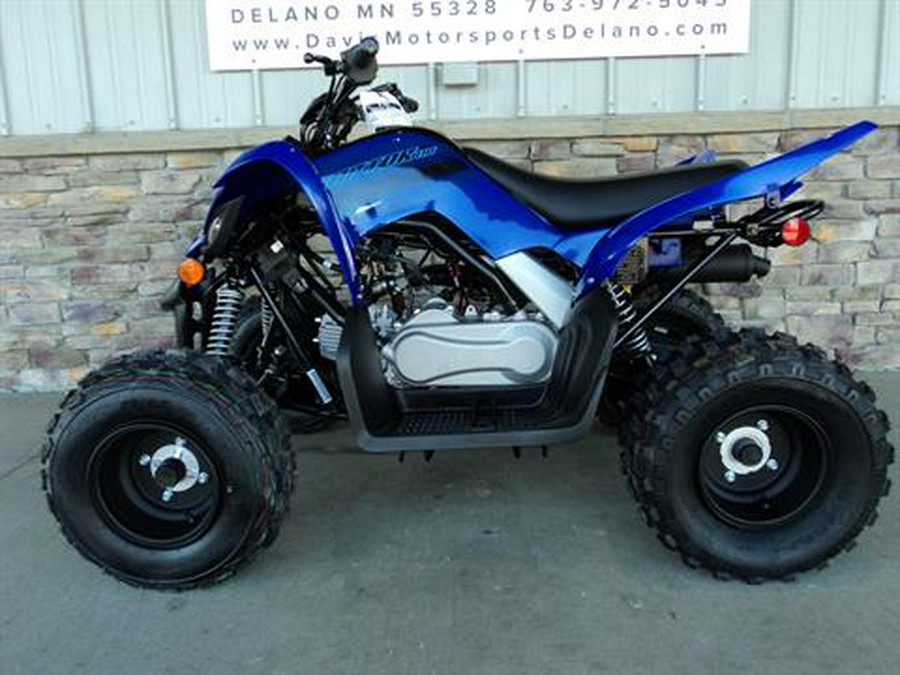 2024 Yamaha Raptor 110