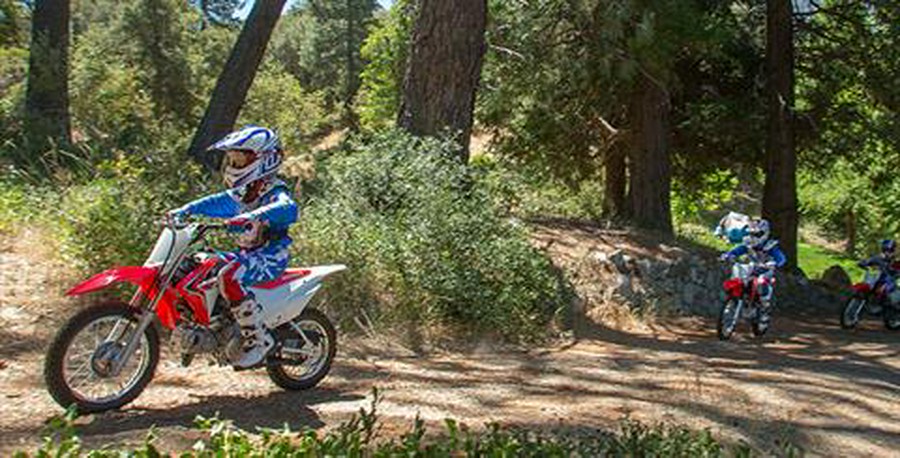 2018 Honda CRF110F