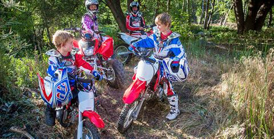 2018 Honda CRF110F