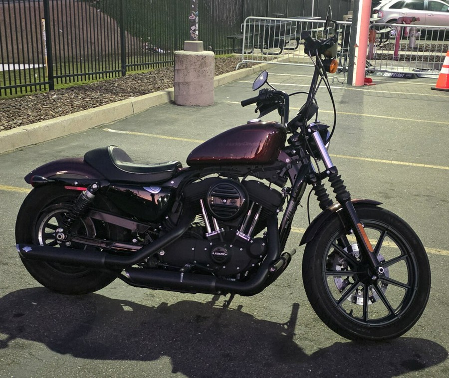 Harley-Davidson® Iron 1200™ 2019 XL 1200NS 431430B TWISTED CHERRY