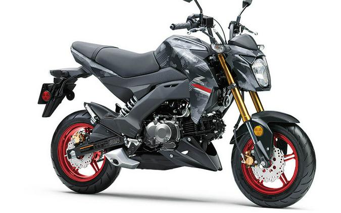 2024 Kawasaki Z125 Pro