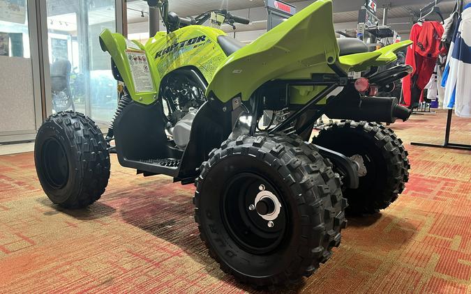 2026 Yamaha Raptor 110