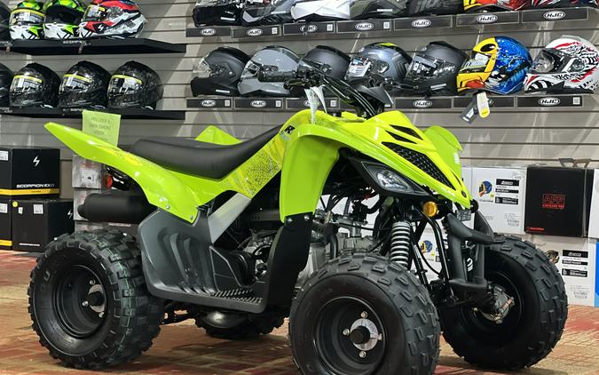 2026 Yamaha Raptor 110