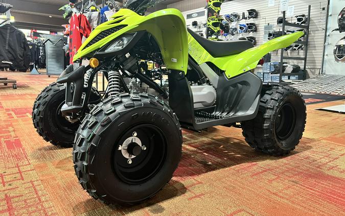 2026 Yamaha Raptor 110