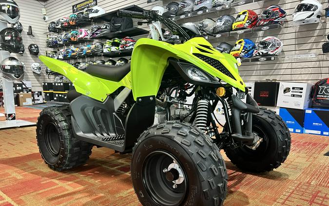 2026 Yamaha Raptor 110