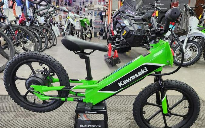 2023 Kawasaki Elektrode